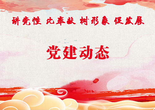 党建动态